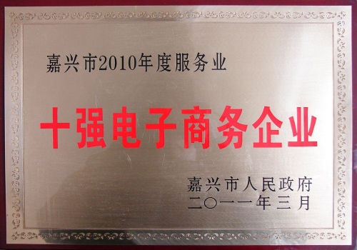 嘉興市十強電子商務(wù)企業(yè)