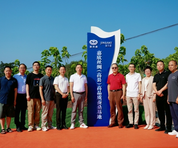 嘉欣絲綢（高縣）高品質(zhì)蠶?；卣浇遗?！